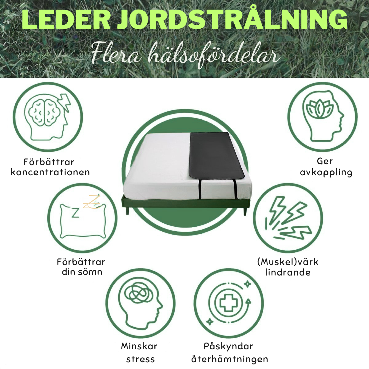 JordRo™ | Jordad Sovmatta