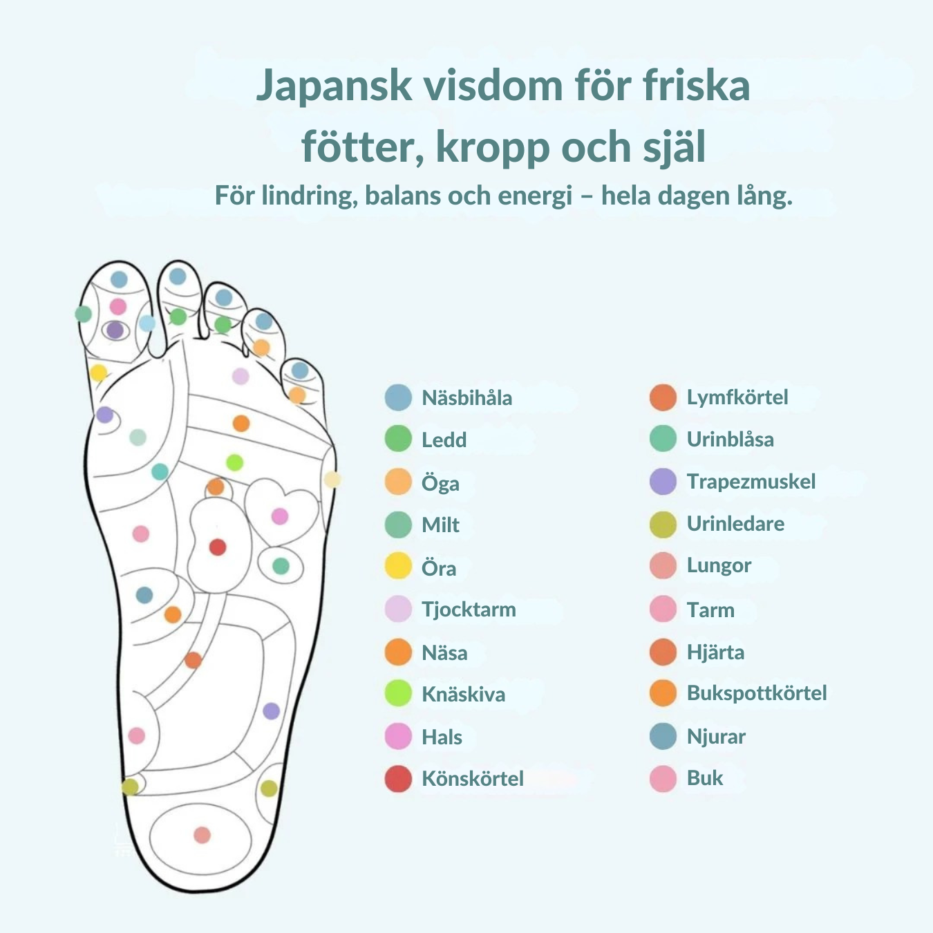 LjusSteg™ | Magnetiska Inlägg | Gå Ner i Vikt vid VARJE Steg | 1+1 GRATIS BLACK FRIDAY