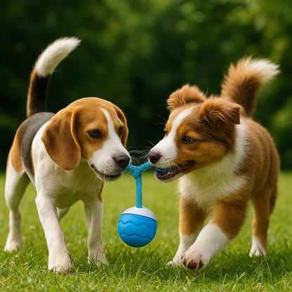 TuggBoll Blå™ | Interaktivt hundleksak