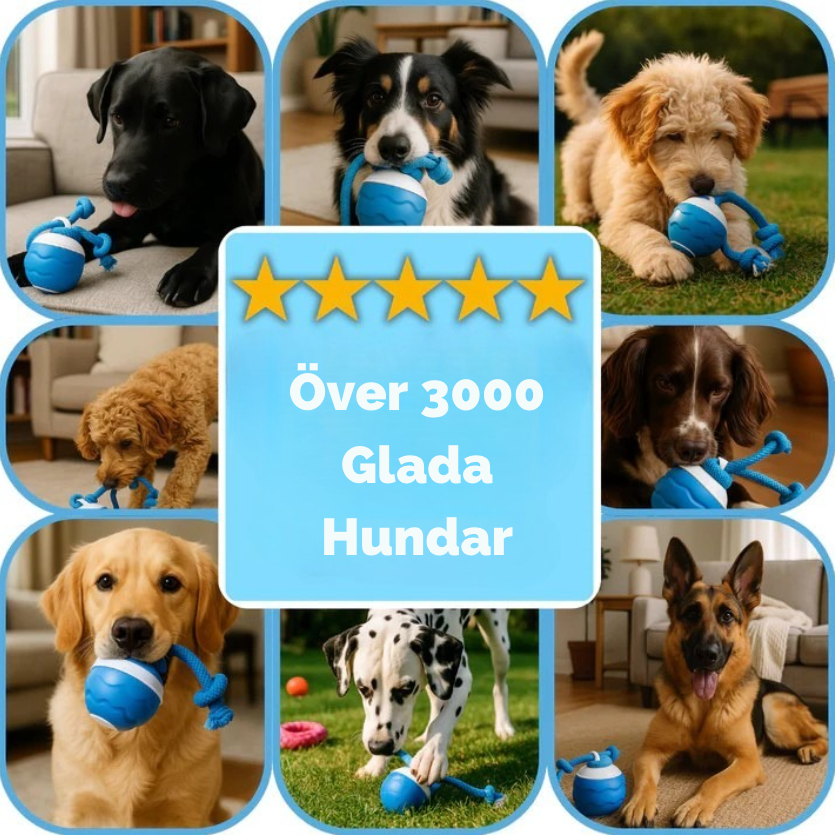 TuggBoll Blå™ | Interaktivt hundleksak