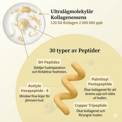 Korean Silk Lifting Peptide Ampoule