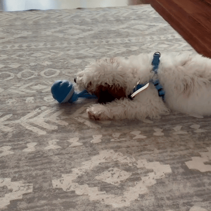 TuggBoll Blå™ | Interaktivt hundleksak